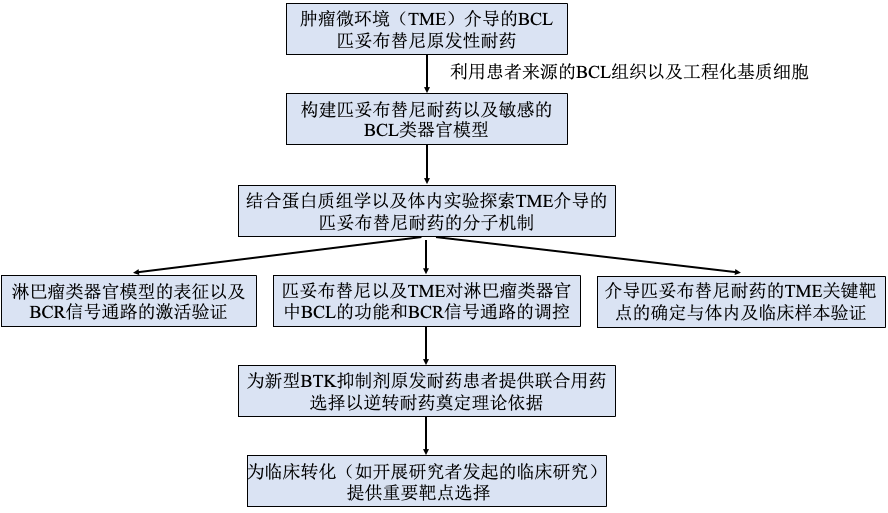 A group of rectangular white text boxes

AI-generated content may be incorrect.