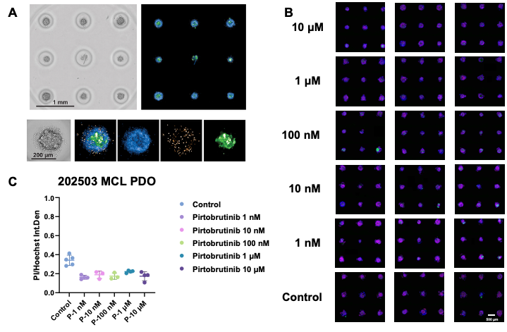 A screenshot of a video game

AI-generated content may be incorrect.